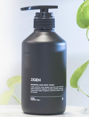 ZIGEN Vv[{fB\[v